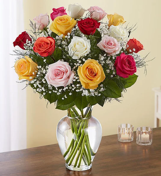 About Rose Elegance™ Premium Long Stem Assorted Roses