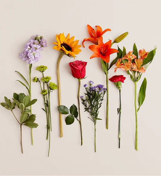 Floral Embrace™ - Image 4