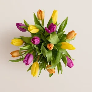 Assorted Tulip Bouquet