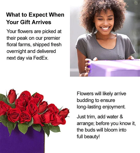 Two Dozen Red Roses - Image 3