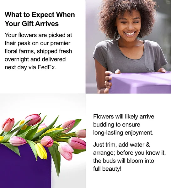 Assorted Tulip Bouquet - Image 2